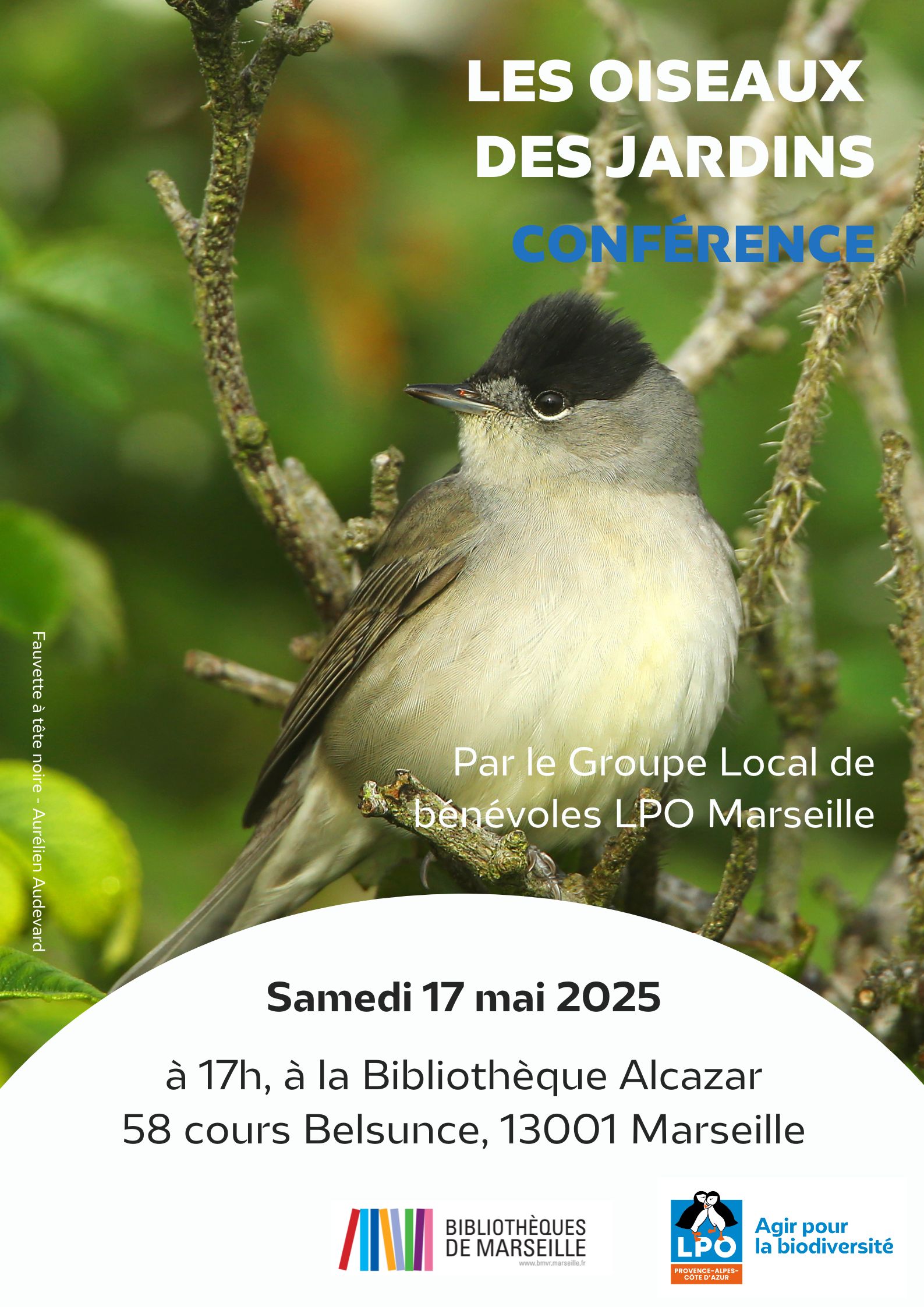 Conférence et atelier pédagogique sur "Les oiseaux des jardins" le samedi 17 mai 2025 à la Bibliothèque Alcazar de Marseille