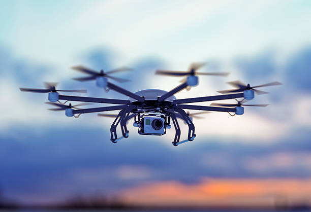 Drones et faune sauvage