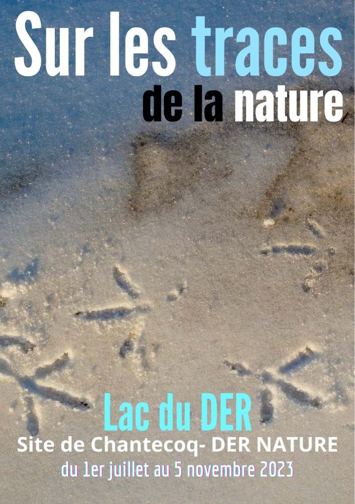 Affiche de l'exposition "Sur les traces de la nature"