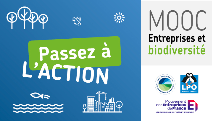 Une formation en ligne pour aider les entreprises à agir en faveur de la nature