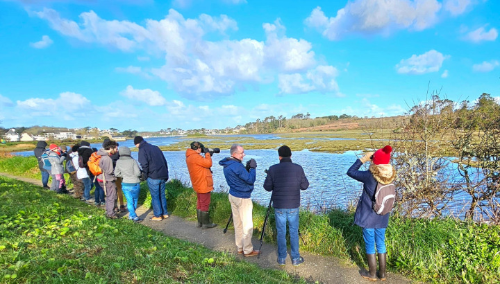 Les oiseaux de la Ria du Conquet : première sortie grand public pour le groupe Pays de Brest !