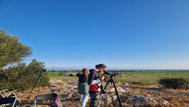 Nos camps d’observations et d’études de la migration des oiseaux reprennent du service