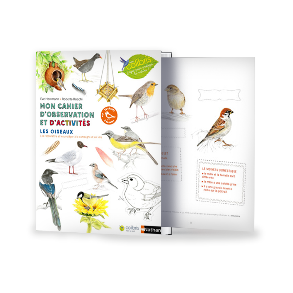 Mon cahier d'observation et d'activités, les Oiseaux
