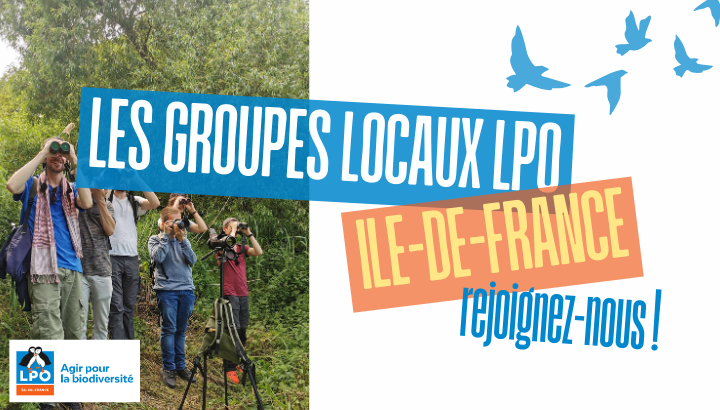 Rejoignez un Groupe local ou thématique de la LPO en Ile-de-France !