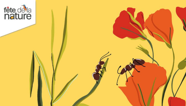 Fête de la nature - du 18 au 22 Mai 2022