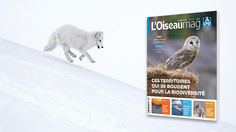 Le numéro 161 de la revue L'oiseau mag se consacre aux territoires qui se bougent pour la biodiversité