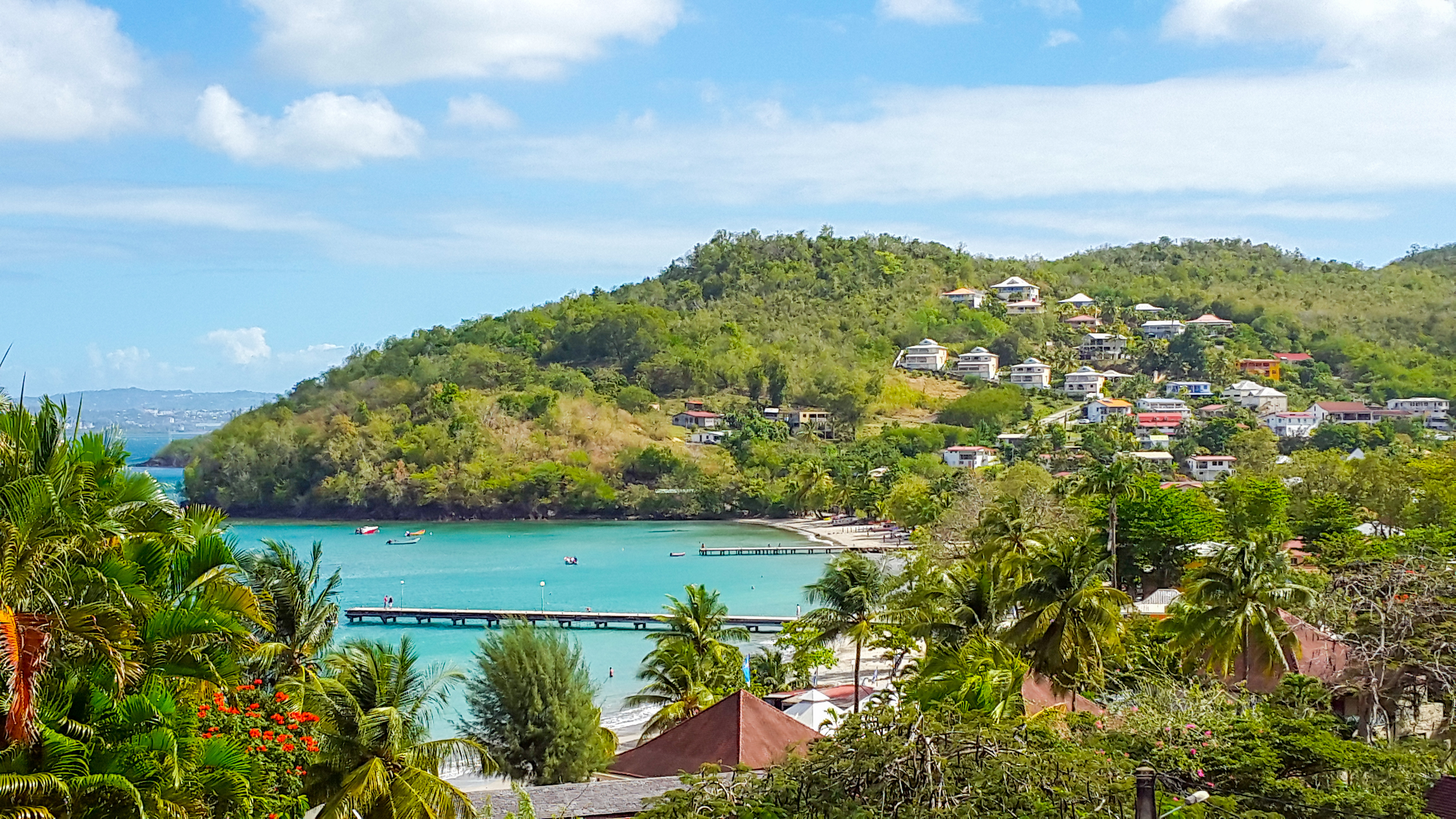 La justice annule a posteriori un arrêté sur la chasse en Martinique