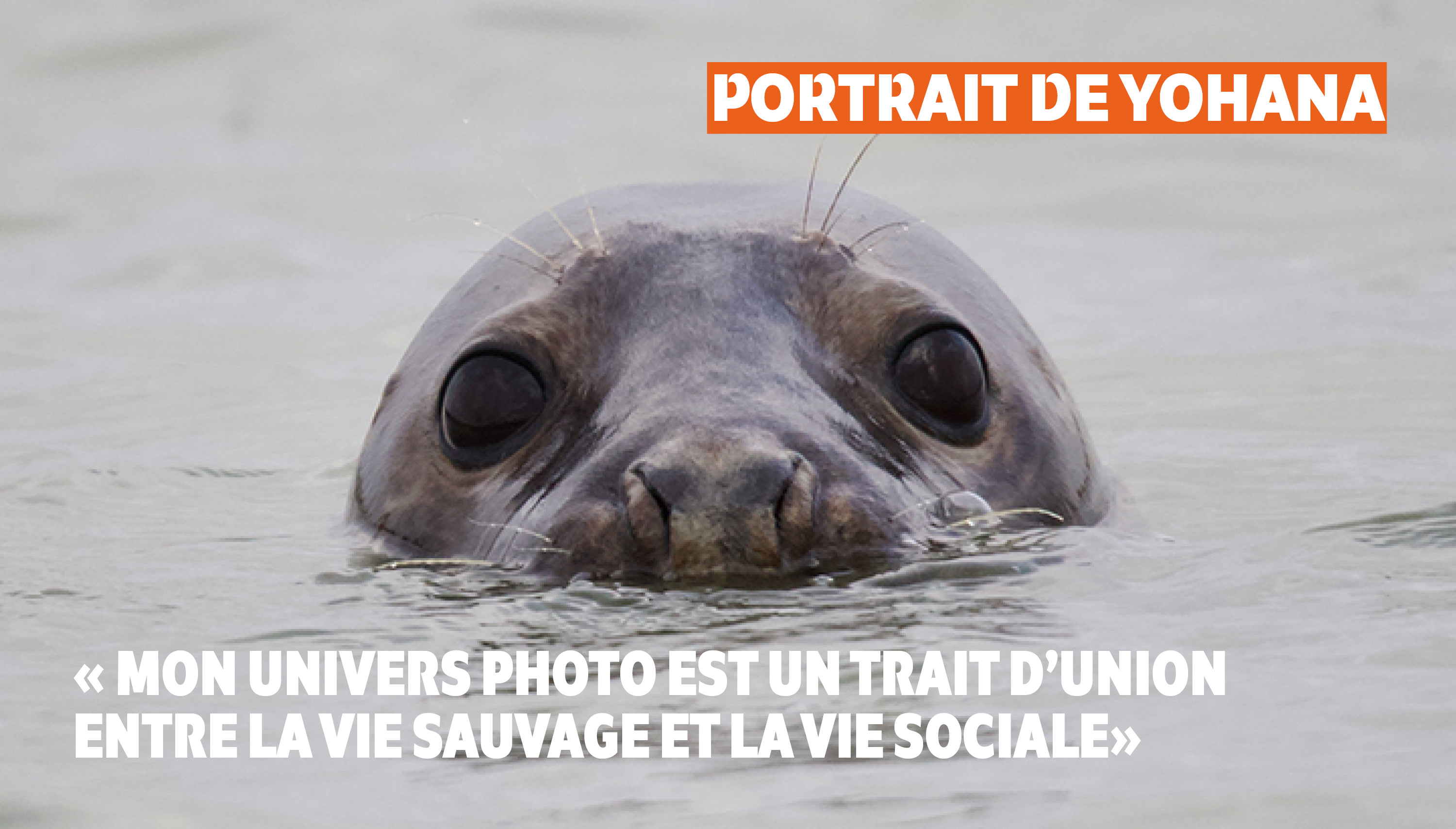Derrière l’objectif : découvrez nos bénévoles photographes ! | Yohana