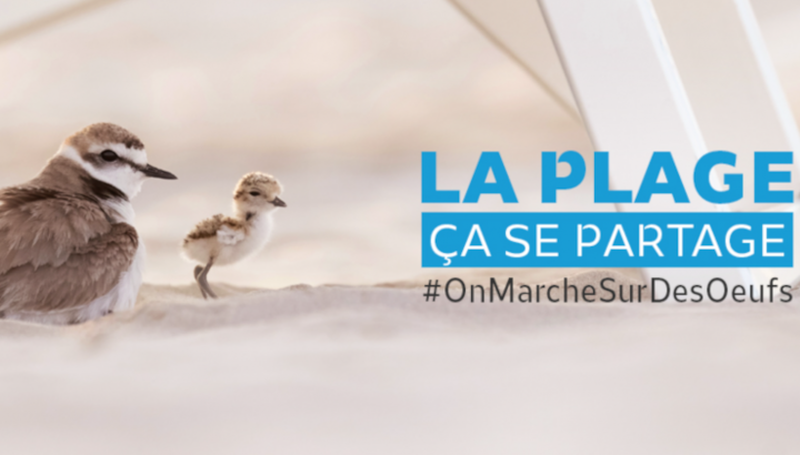 Opération 2024 « Attention, on marche sur des œufs ! »
