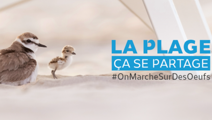 Visuel avec le message "la plage, ça se partage. On marche sur des oeufs"