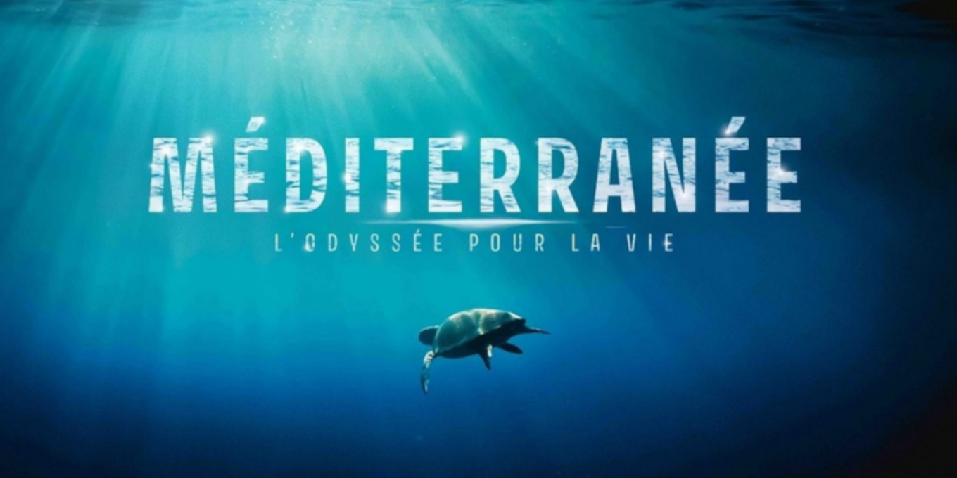 Méditerranée, l'Odyssée pour la Vie