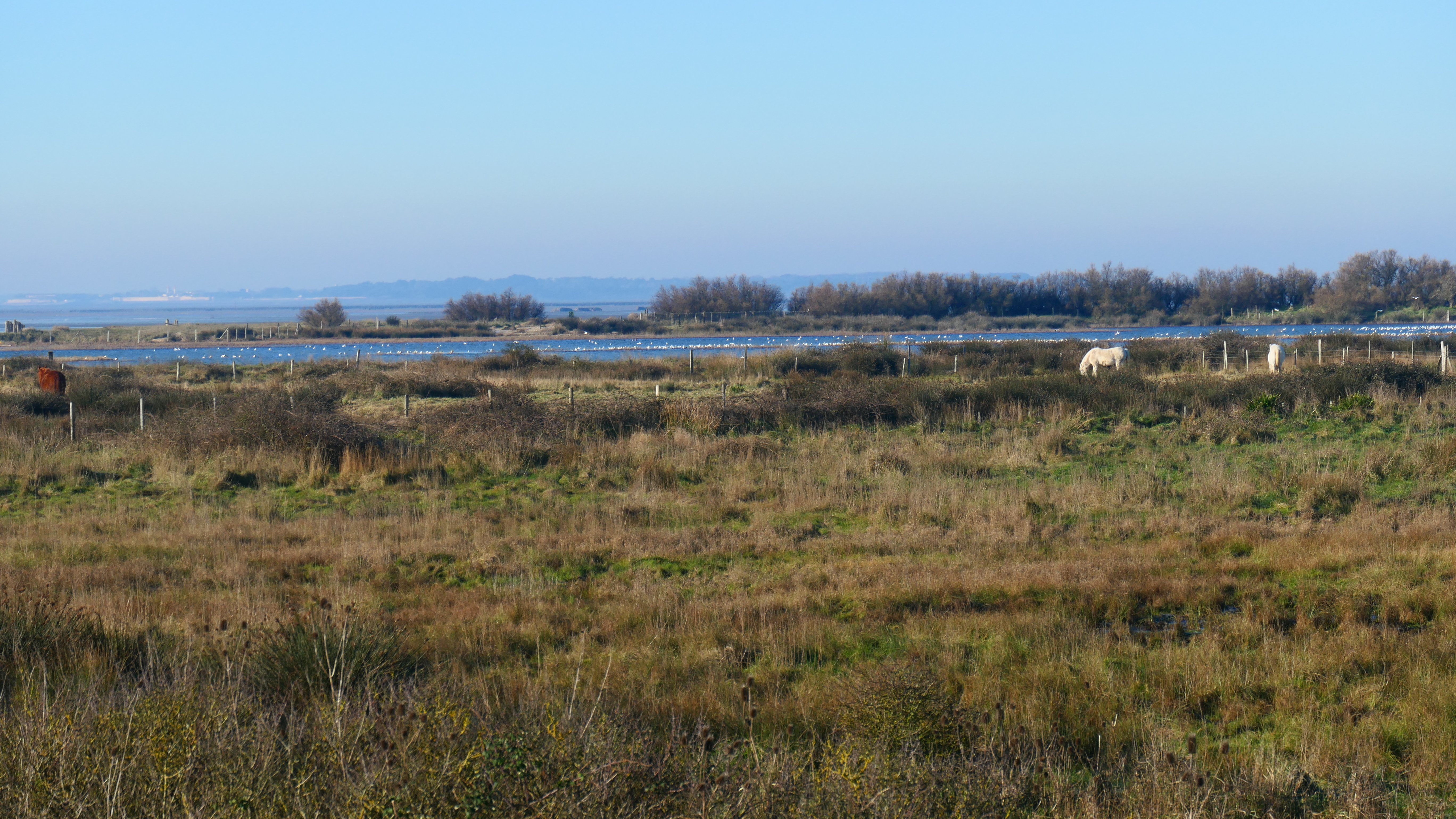 AUTOMNE " La réserve naturelle d'Yves au fil des saisons"