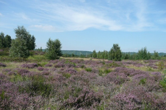 Boucle de Moisson