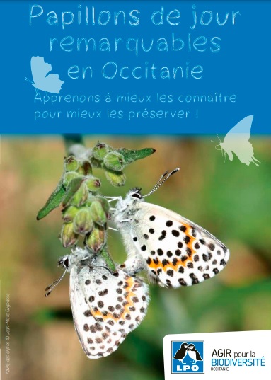 Poster "Papillons de jour en Occitanie"