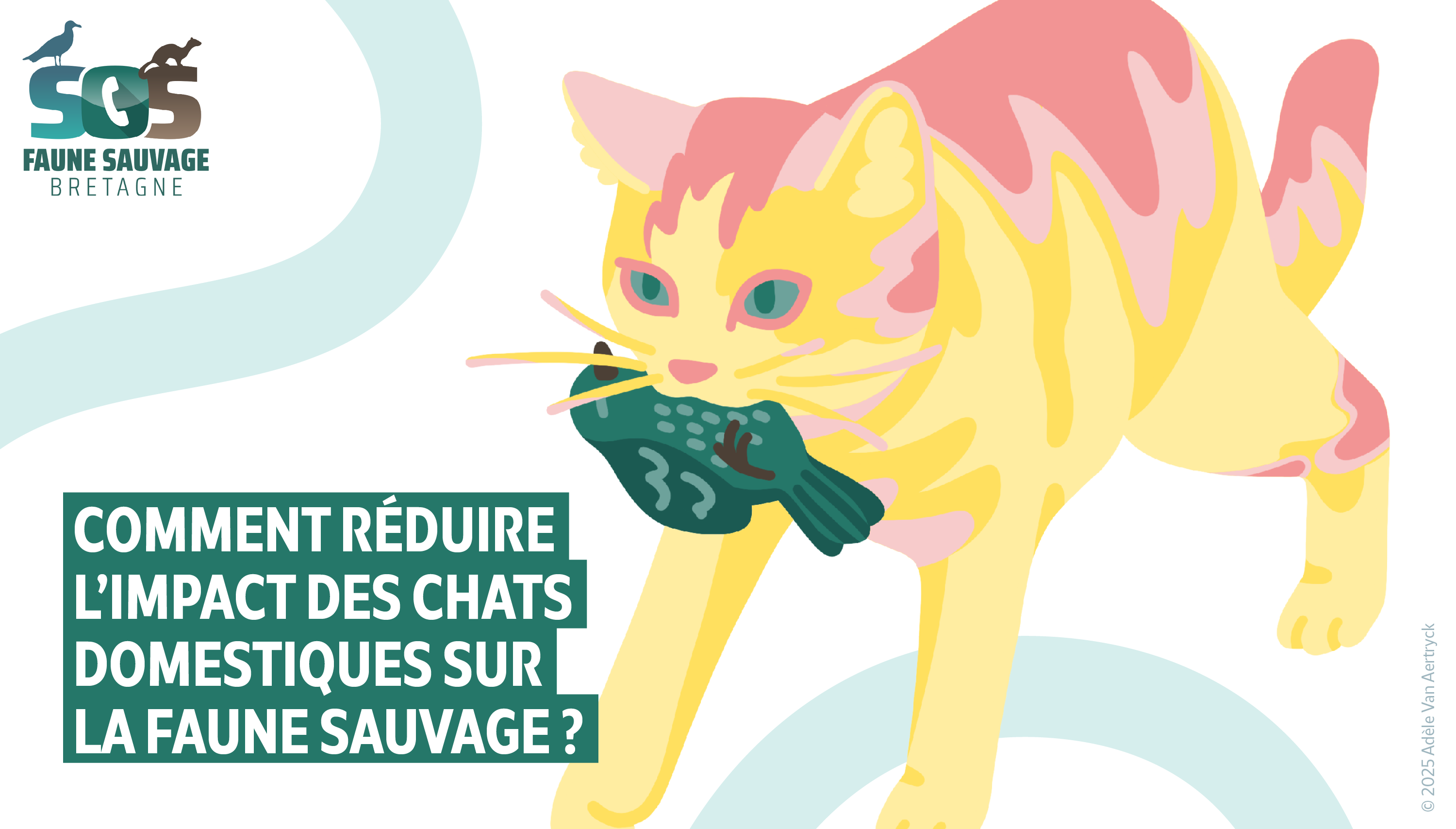 Comment réduire l'impact des chats domestiques sur la faune sauvage ?