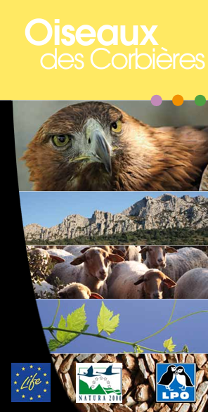 Oiseaux des Corbières