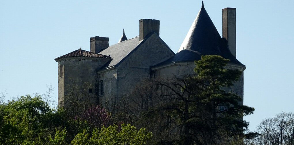 Parc du Château de Buzet