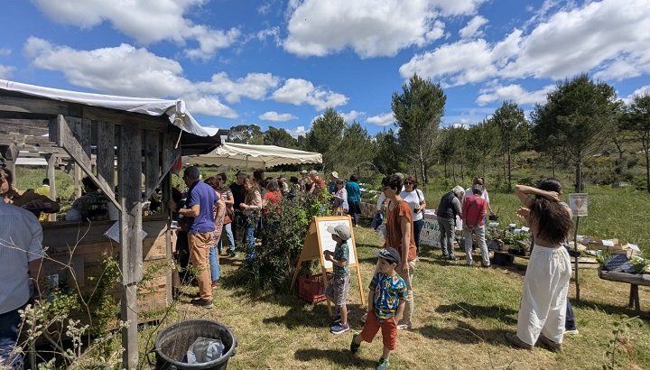 Rendez-vous au jardin : "ApérOmbelles"