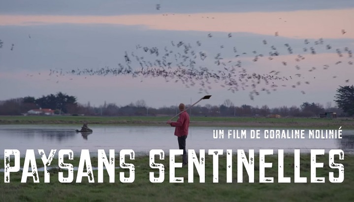 Film documentaire « Paysans sentinelles » en replay sur France 3 Pays de la Loire