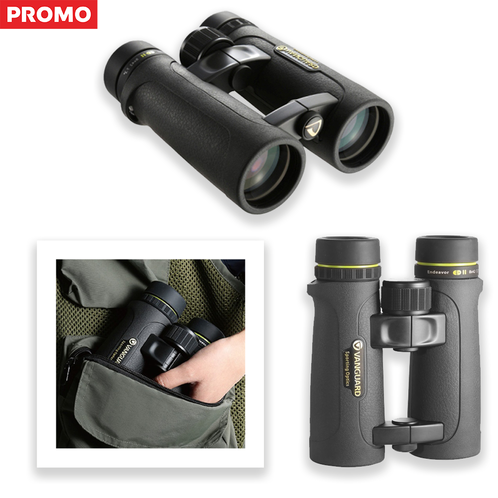 Jumelles Vanguard Endeavor ED II 8x42