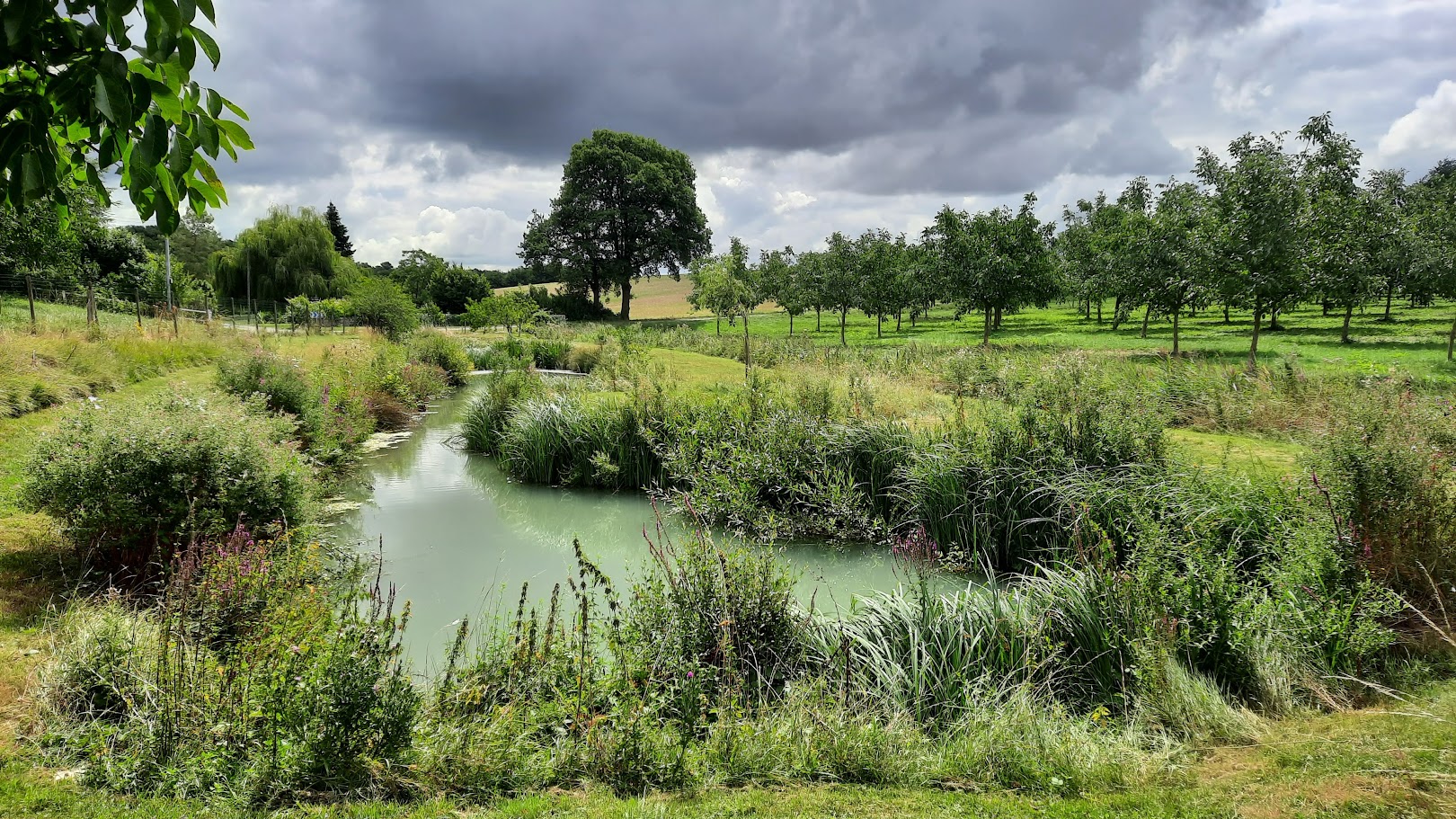 Un Refuge LPO au coeur de la campagne tourangelle (37)