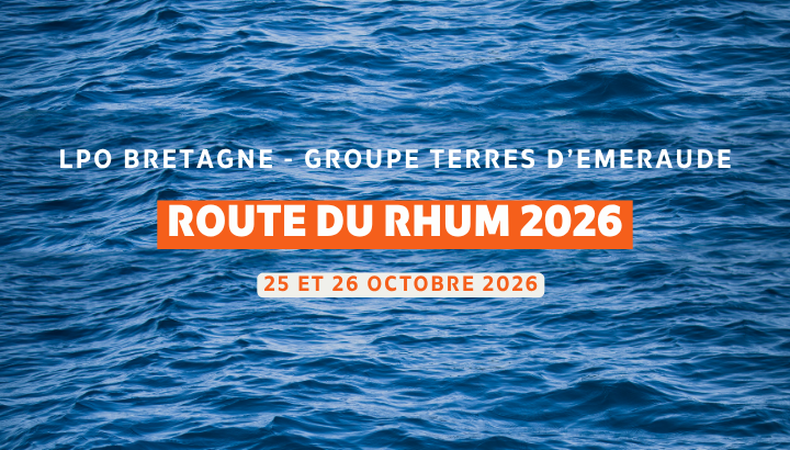La LPO Bretagne à la Route du Rhum 2026