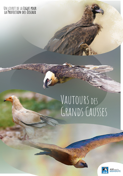 Livret : Les vautours des Grands Causses