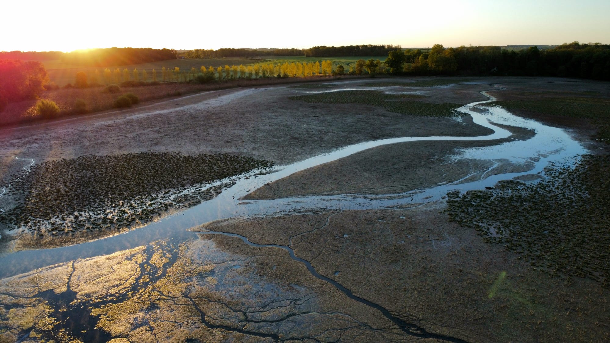 Projet de parc photovoltaïque de l’Etang du Fourneau : signez la pétition !