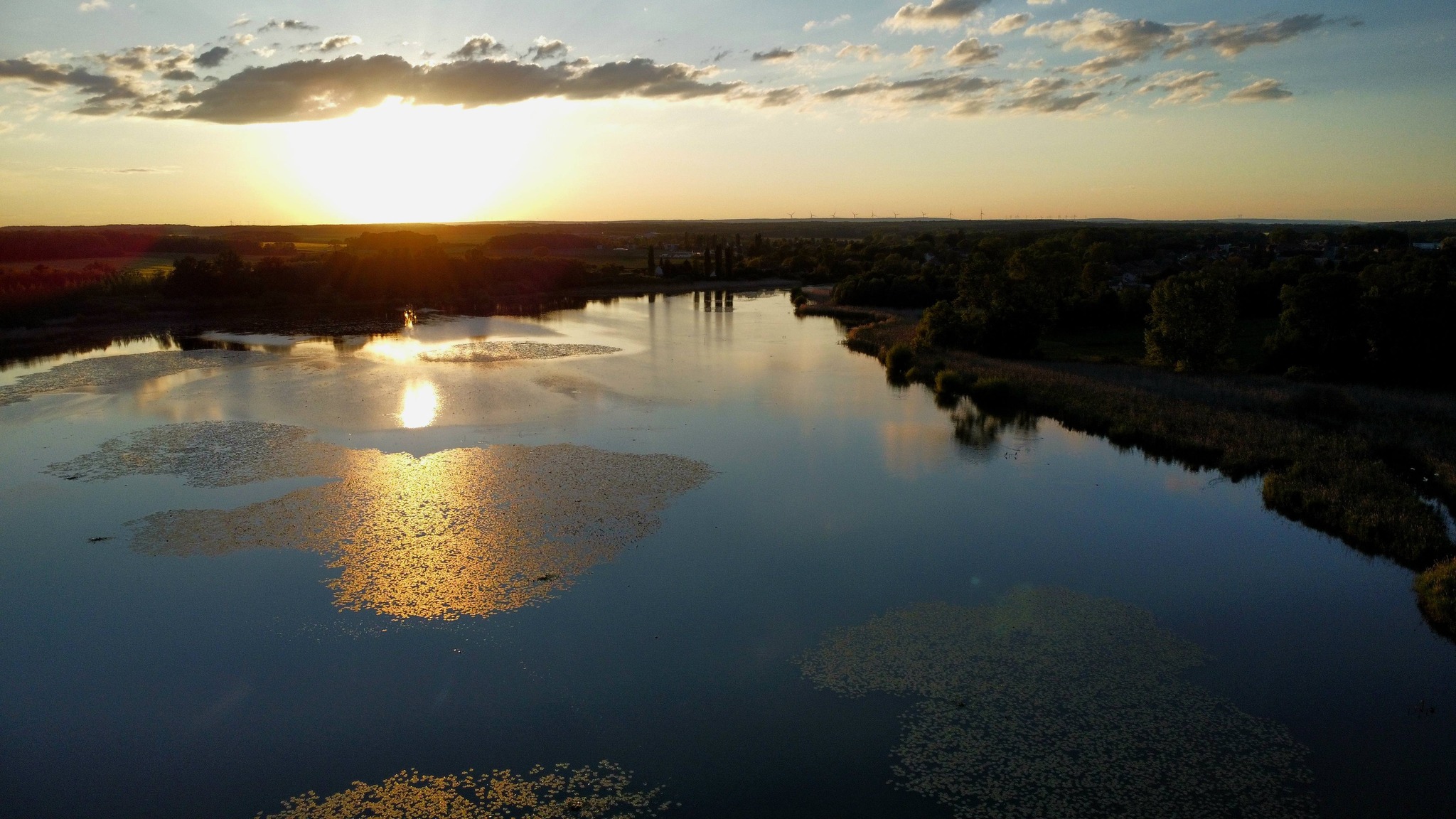 Projet de parc photovoltaïque de l’Etang du Fourneau : signez la pétition !