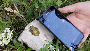Les rencontres des observatrices et observateurs de faune Occitanie