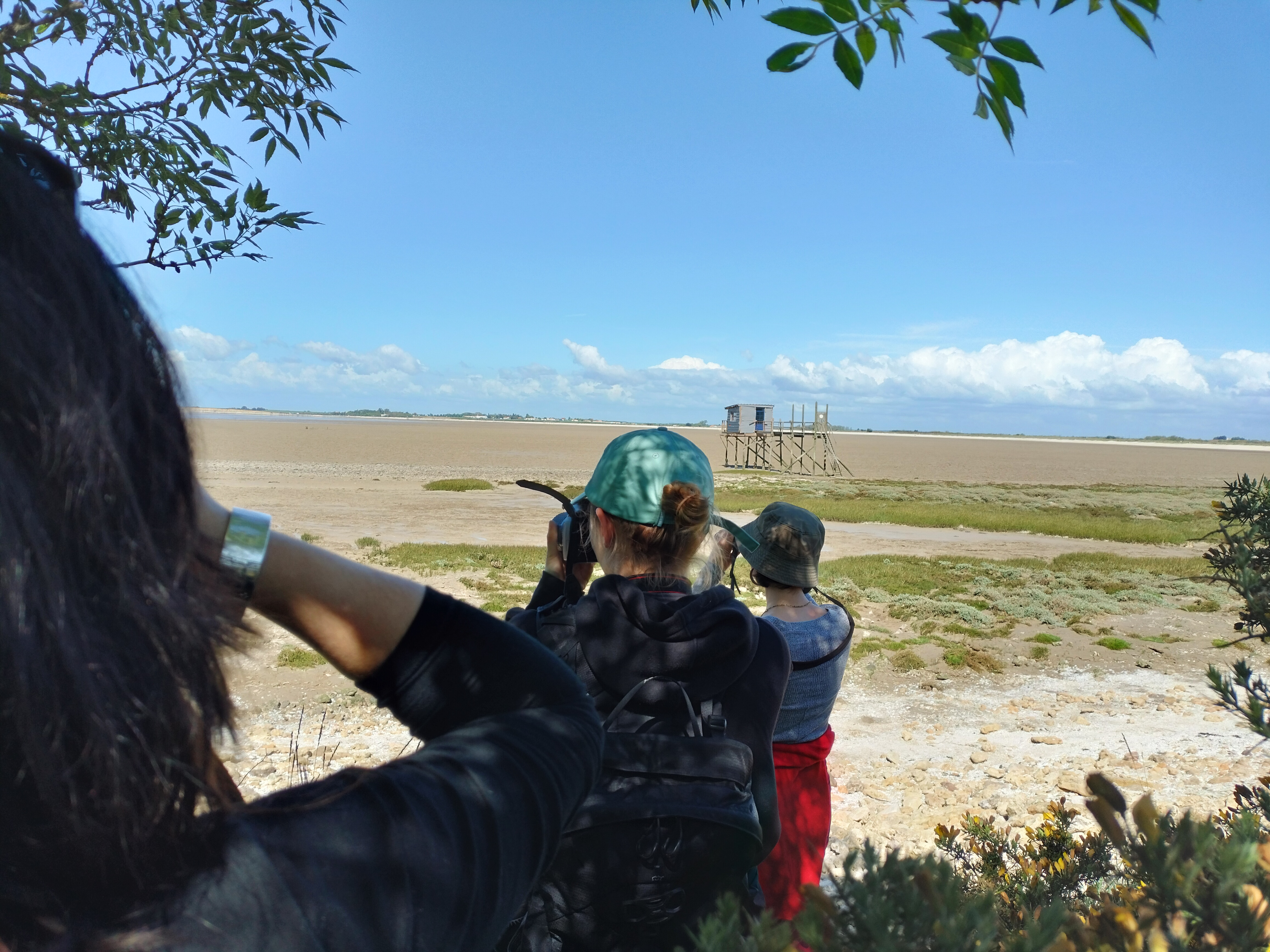 Anse de Fouras © Réserve naturelle du marais d'Yves