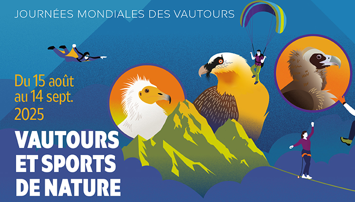 Journées mondiales des vautours : vos activités dans les Pyrénées-Atlantiques !
