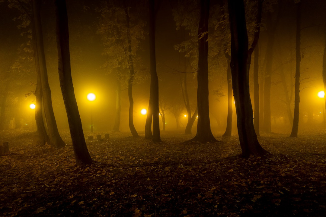 Parc de nuit, éclairé par des lampadaires