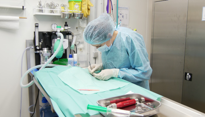 Une première opération pour le Centre de soins LPO Aquitaine !