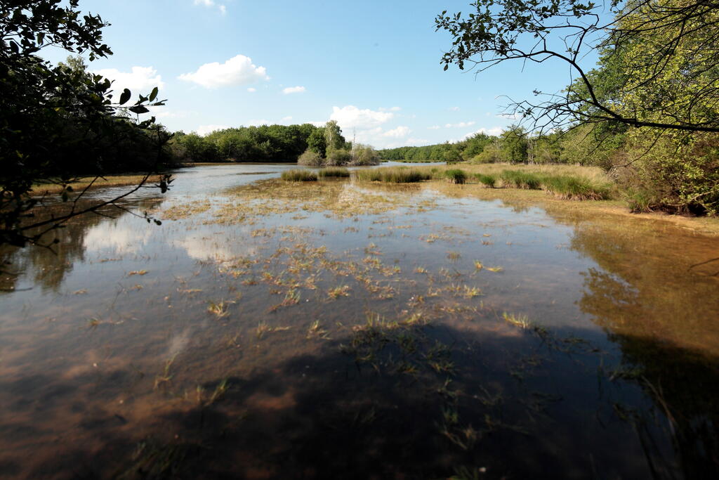 Balade à l’étang de Poncharal (près de Vigeois)