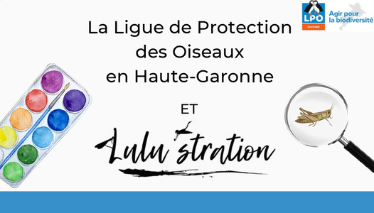 Atelier d'initiation au dessin naturaliste