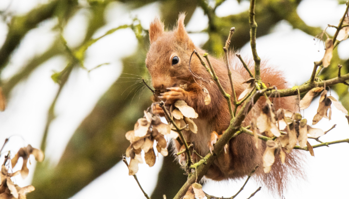 Balade nature autour de Houeillès