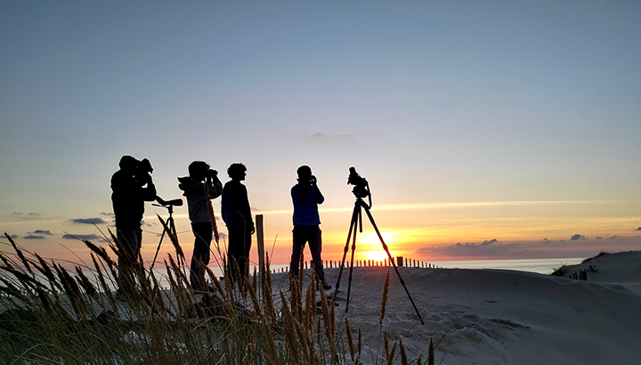 Participez à l’étude de la migration à nos côtés !