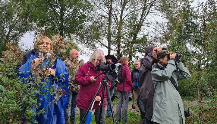 À la découverte des oiseaux du printemps à Bavilliers