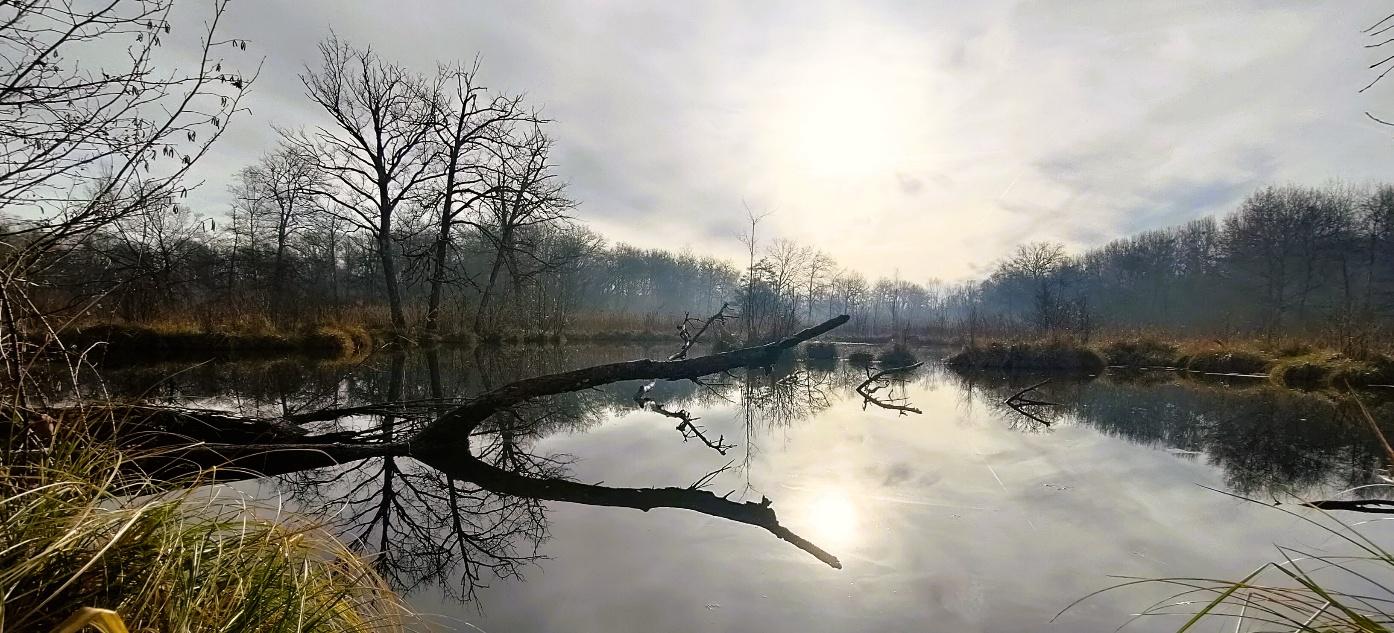 Chantier nature au Marais de Bourneville (60)