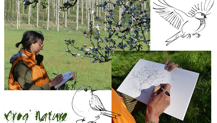 Découverte du croquis nature