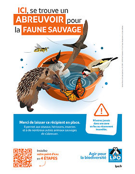Affichette "Des abreuvoirs pour la faune sauvage"