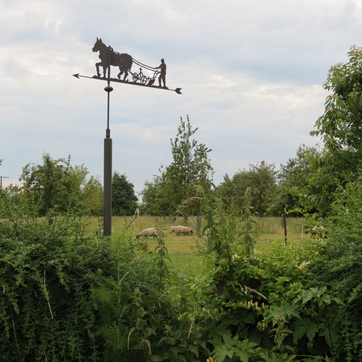 Journée à la Ferme "Plaine de vie" à Bayonvillers (80)