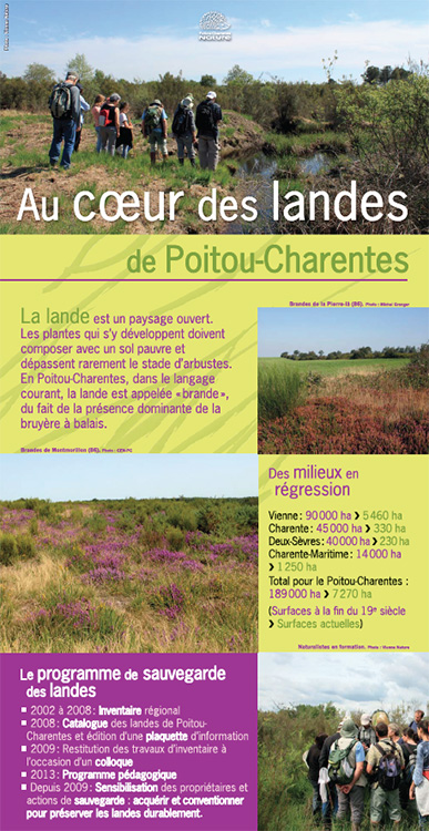 Aperçu du premier panneau de l'exposition avec des photos de lande fleurie et d'un groupe en balade dans une lande.