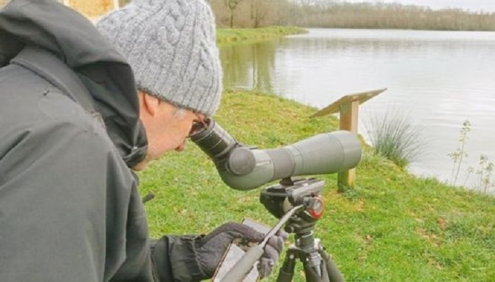 Oiseaux des lacs de Puydarrieux et Castelnau-Magnoac