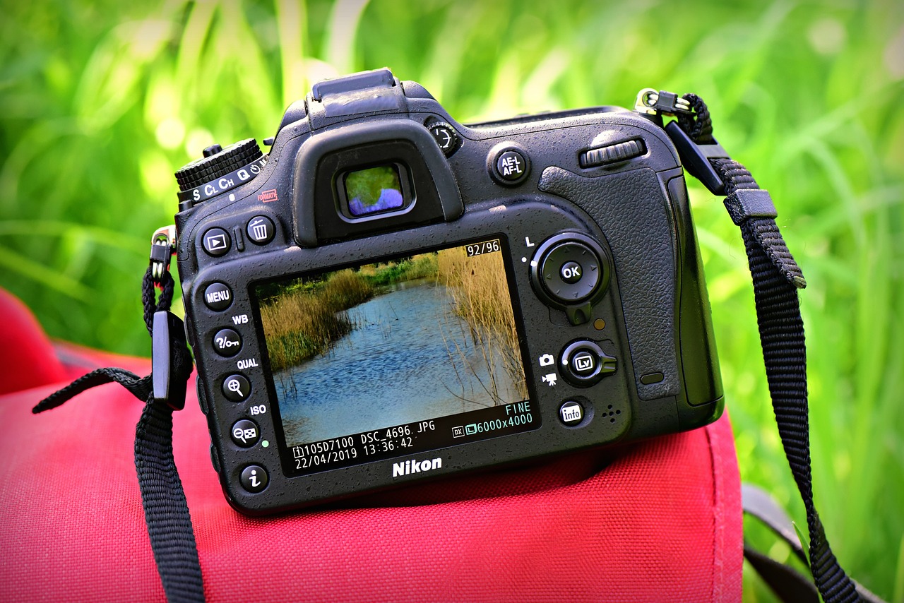 Appareil photo posé sur un sac avec herbes vertes en arrière plan