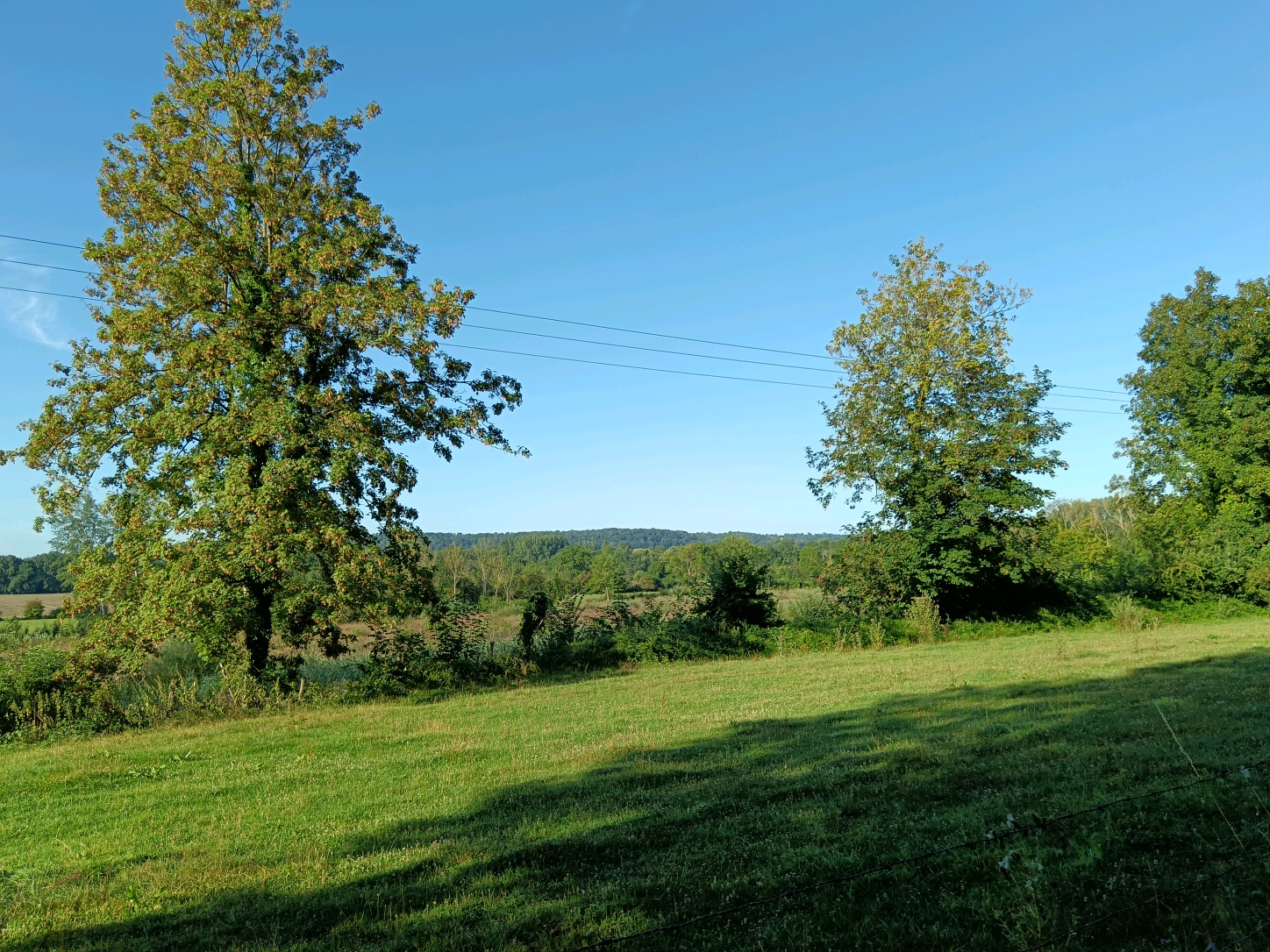 Balade d'observation et à l'écoute des oiseaux de la campagne