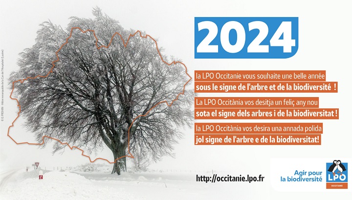 La LPO vous souhaite une bonne année 2024 en région Occitanie et Pays catalan