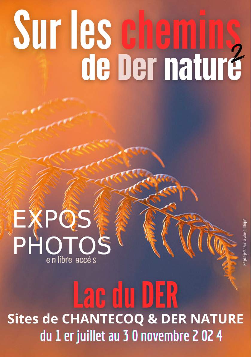 Affiche de l'exposition "Sur les chemins de Der Nature"