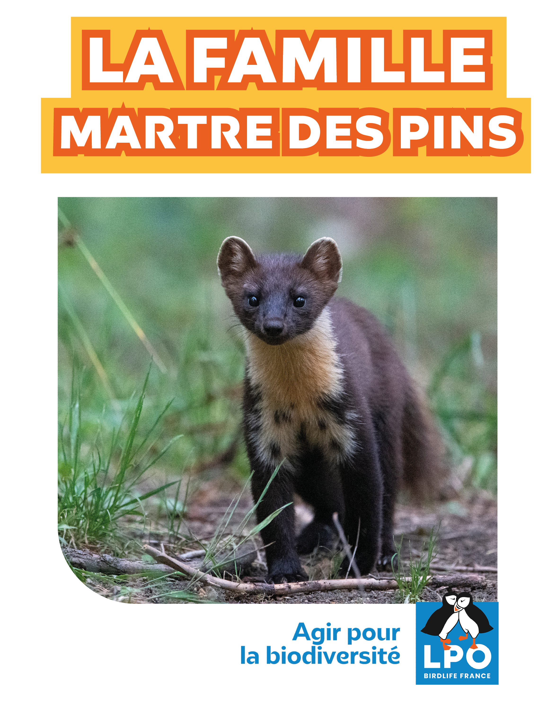 Jeu des 7 familles à imprimer : les animaux de la forêt